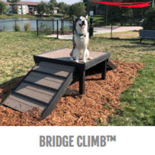 CAD Drawings BIM Models Gyms For Dogs® Bridge Climb™